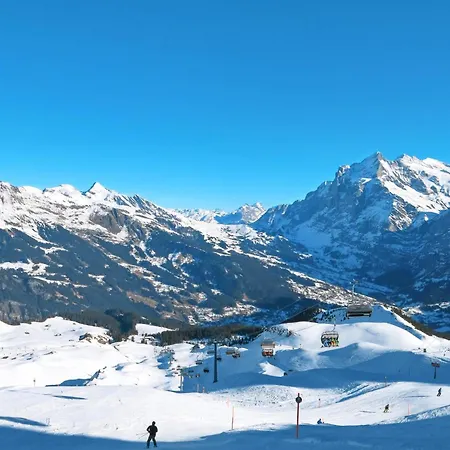 Apartmán Barbara By Interhome Grindelwald