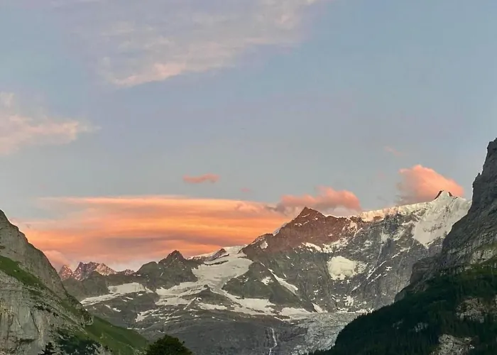 Apartman Barbara By Interhome Grindelwald